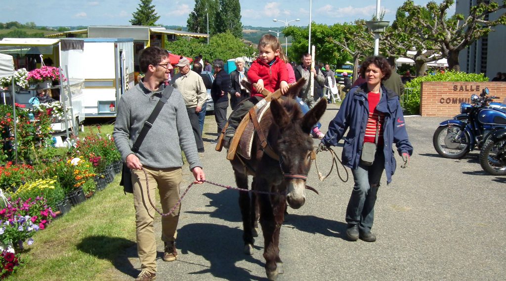 Fête de l’intercommunalité | fête de l’âne en 2013