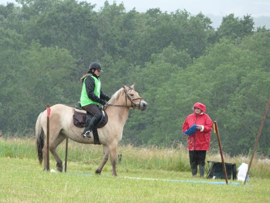 TREC 2016: Épreuve: le Parcours en Terrain Varié (PTV): il est composé de 12 à 18 difficultés. Naturelles ou simulées comme sur la photo, ces difficultés reproduisent des situations que le cavalier et le cheval peuvent rencontrer en pleine nature.